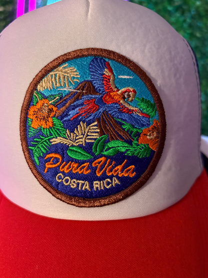 Pura Vida