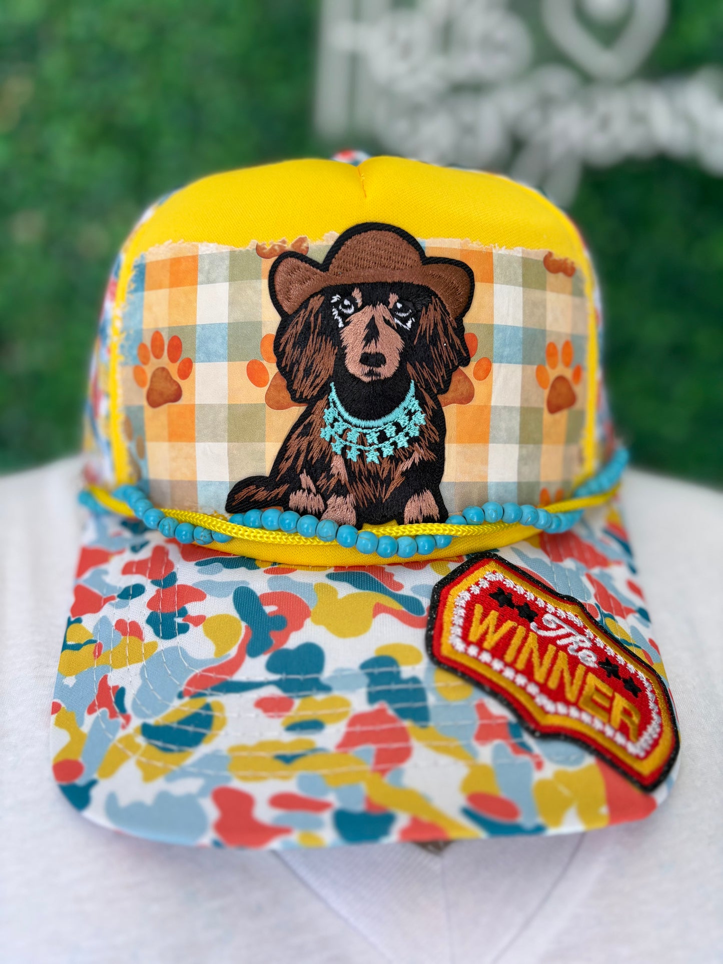 Dachshund  ￼