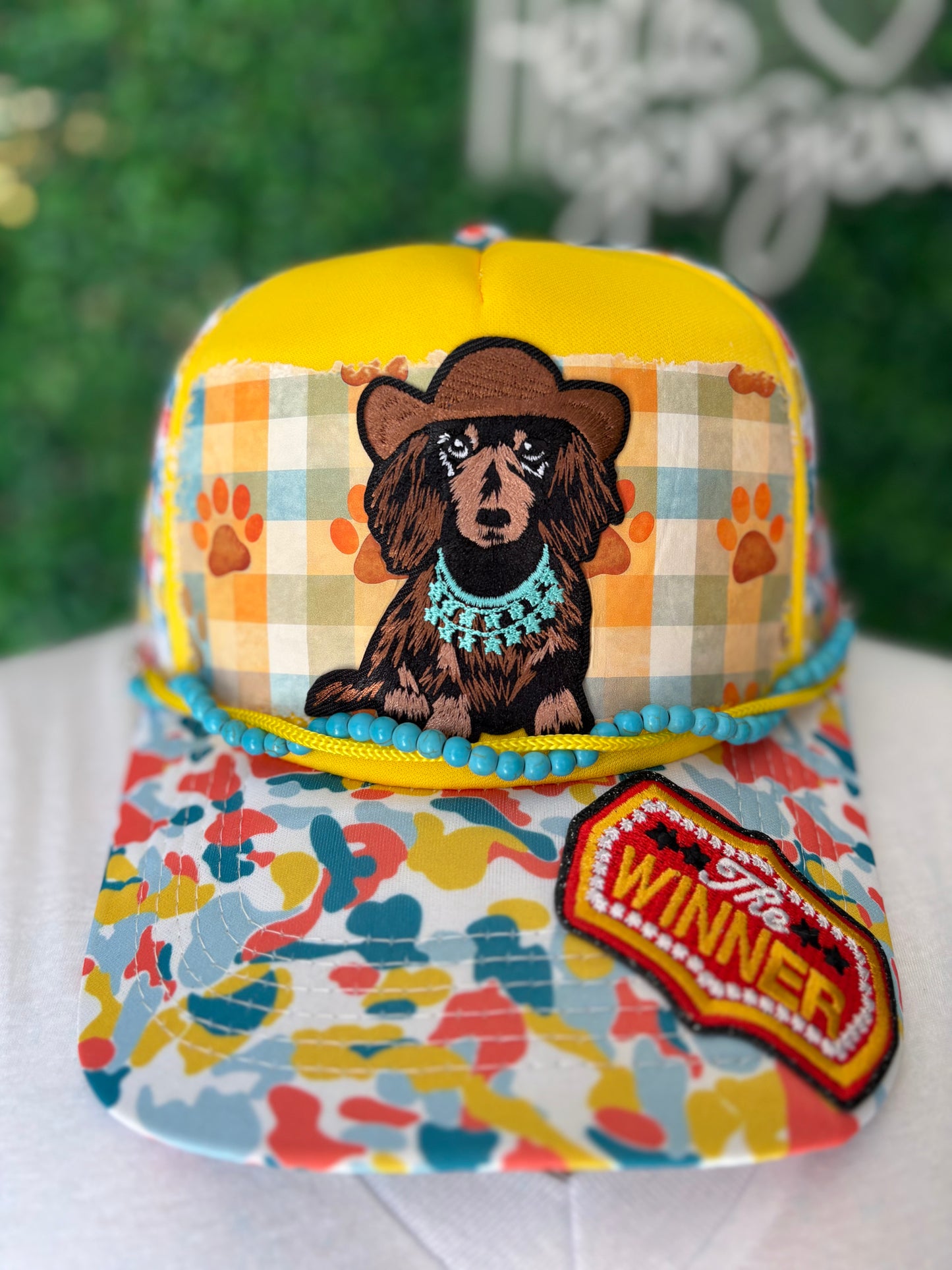 Dachshund  ￼